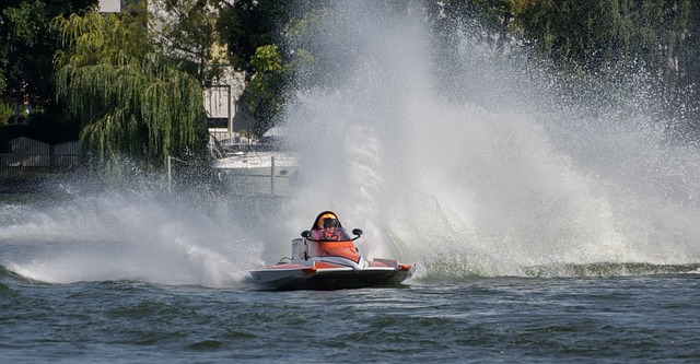 高竞争的生 高竞争的生
