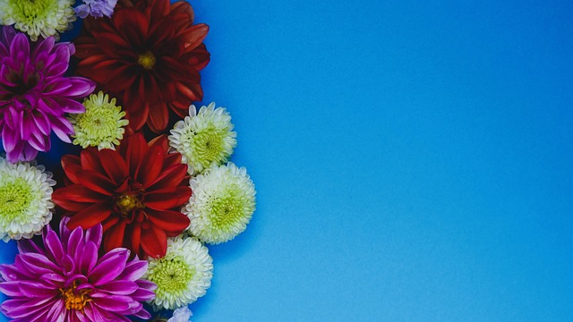 使他们在全 使他们在全