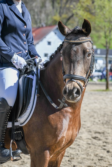 出行安全 出行安全