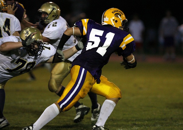 发挥的重要 发挥的重要